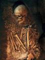 skeleton
