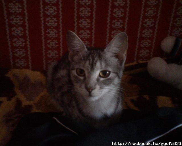 Luna:)