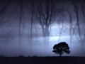 mystic9
