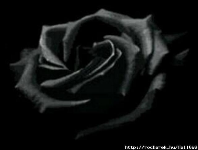 blackrose.x