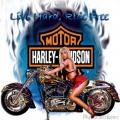 Harley
