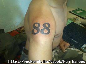 944484_127754254096334_2099905238_n
