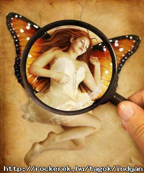butterfly effect