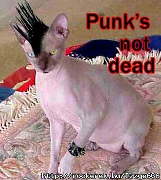 PUNK macsek