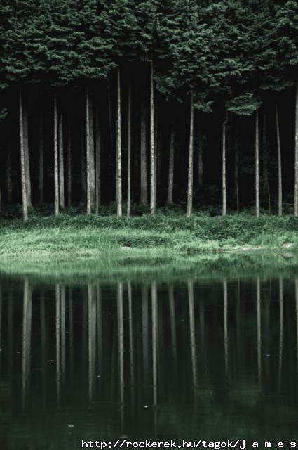 54