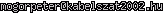 msn