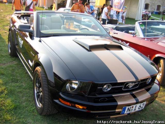 Mustang 001