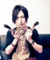 Tora-sama  Chicken