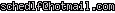 msn