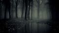 Dark-Forest-11