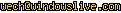 msn