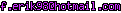 msn