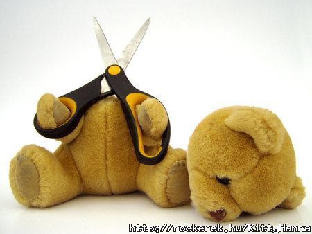 Suicide bear