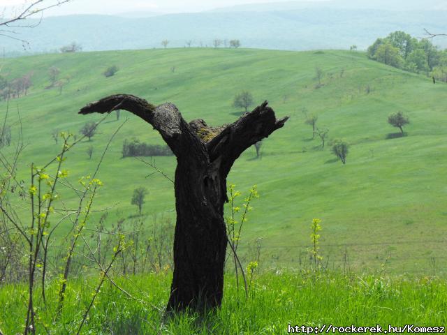 DSCF0130