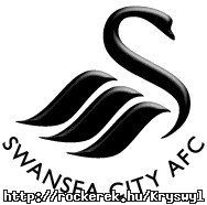 Swansea AFC