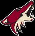 Phoenix Coyotes