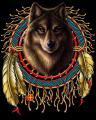 Indian wolf