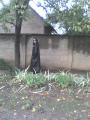 DSC00023
