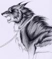 Fenrir_Das_Wolf_by_verreaux[1]