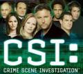 csi_las_vegas_subs