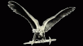 0011881.tn_004[1]
