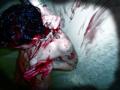 LittleKidInTheBloodShower