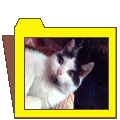 Cila (5)
