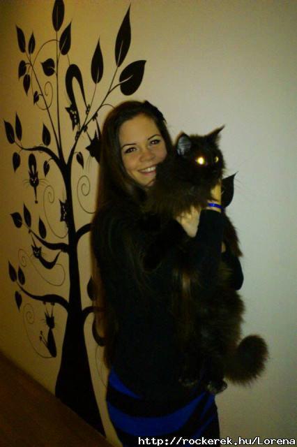 Cat caf :)