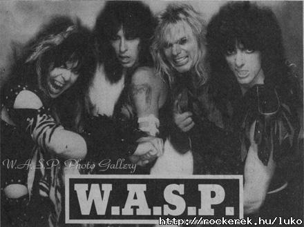 wasp