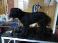 2012.04.06. Dagi(4)