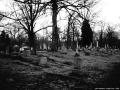 aarin-dark-cemetery