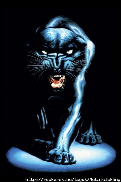 black-panther-meiklejohn