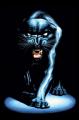 black-panther-meiklejohn