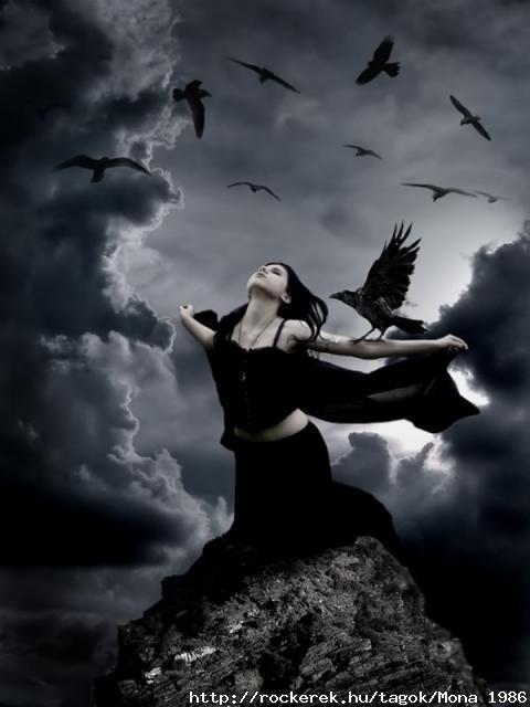 raven