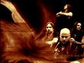 disturbed