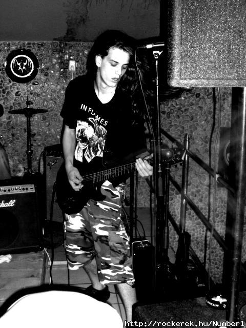 koncert