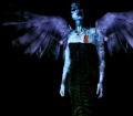 Dark_angel