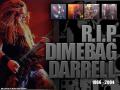 Dimebag_Darrell