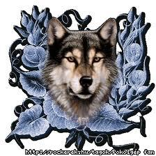 images[8]