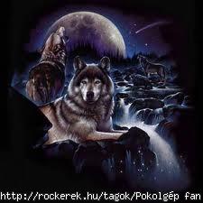 images[3]