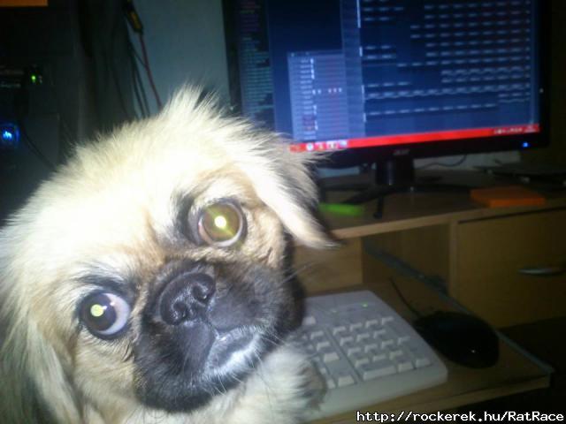 Csinike Fl Studizik! :D