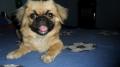 Egy kis jtk utni lihegs! :D