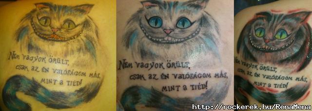 tetk trtnelem :)