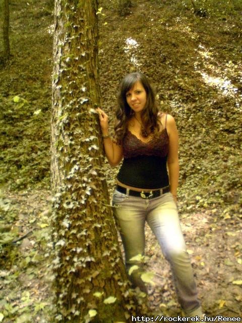 gervlgybe ~ 2011 ~