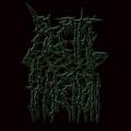 Ex-Rectal Injection