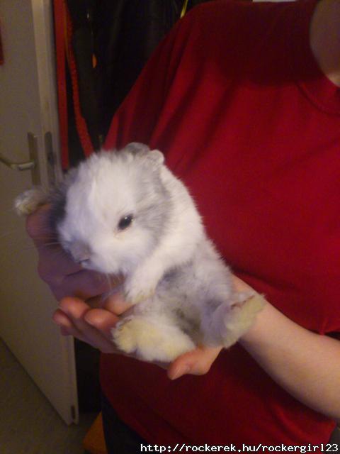 Kis FIAM :D