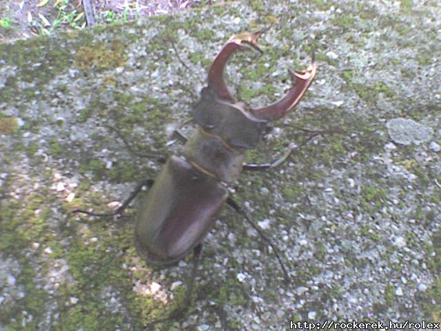 DSC01104