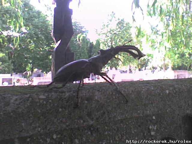 DSC01102
