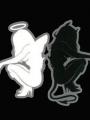 Profil 7