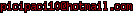 msn